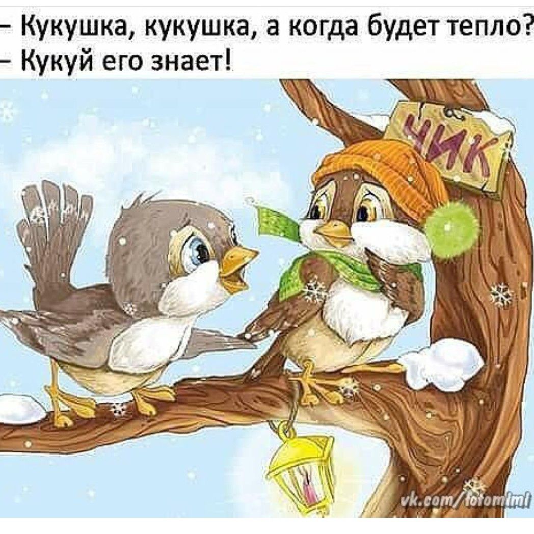 Кукушка кукушка а когда будет тепло Кукуй его знает