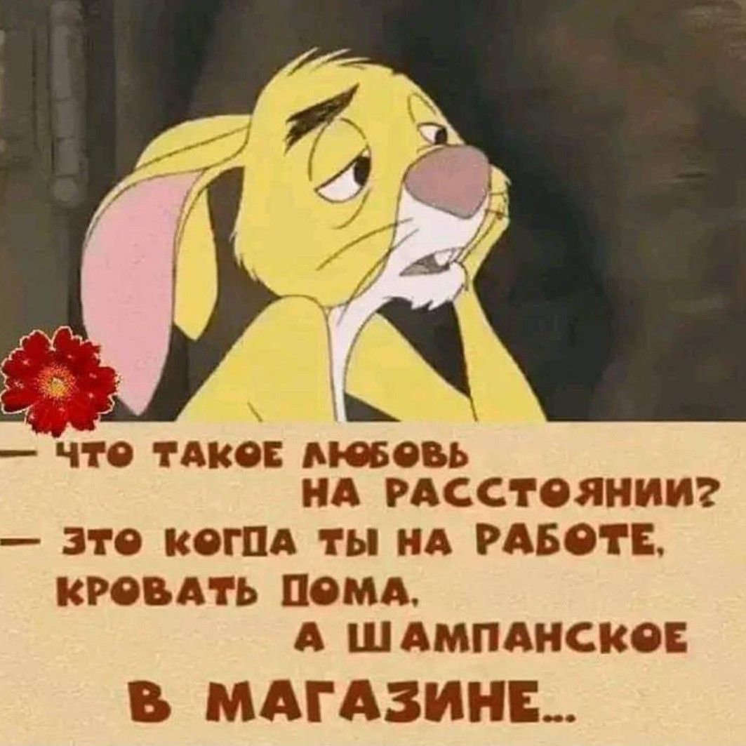 ЧТО ТАКОЕ любовь А РАССТОЯНИИ 310 КОГПА ТЫ НА РАБОТЕ КРОВАТЬ ПОМА А ШАМПАНСКОЕ В МАГАЗИНЕ