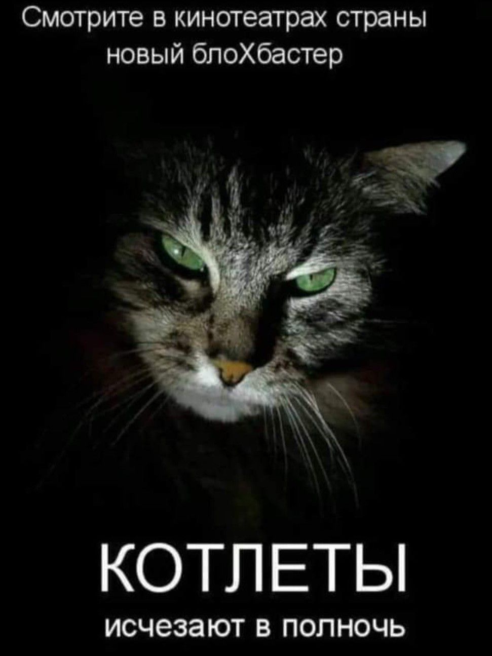 Смотрите в кинотеаграх страны новый блоХбастер КОТЛ ЕТЫ ИСЧЕЗЭЮТ В полночь