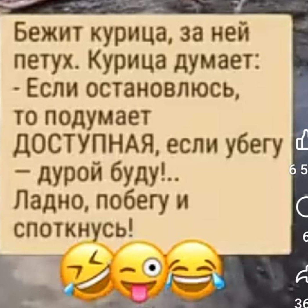 Бежит курица за ней петух Курица думает Если остановлюсь то подумает ДОСТУПНАЯ если убегу дурой буду Ладно побегу и споткнусь