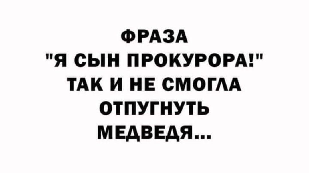 ФРАЗА Я СЫН ПРОКУРОРА ТАК И НЕ СМОГАА ОТПУГНУТЬ МЕДВЕДЯ