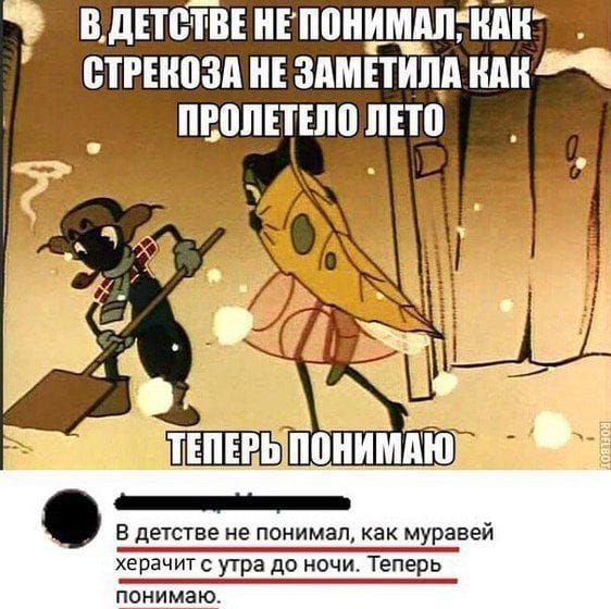 вднешніппнимдпгши етггиозд нЕ зимним или пвоппшоппп в детстве не понимал как м равей херачит утра до ночи Теперь ПОНИМЭЮ