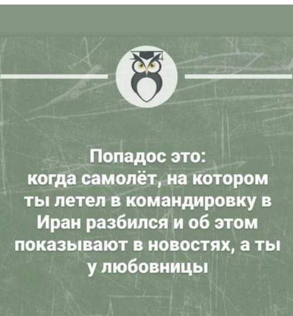 _ё_ Попадос это когда самолёт на котором ты летел в командировку в Иран разбился и об этом показывают в новостях а ты у любовницы ттвцвсгнимов _ ітеііестцтог