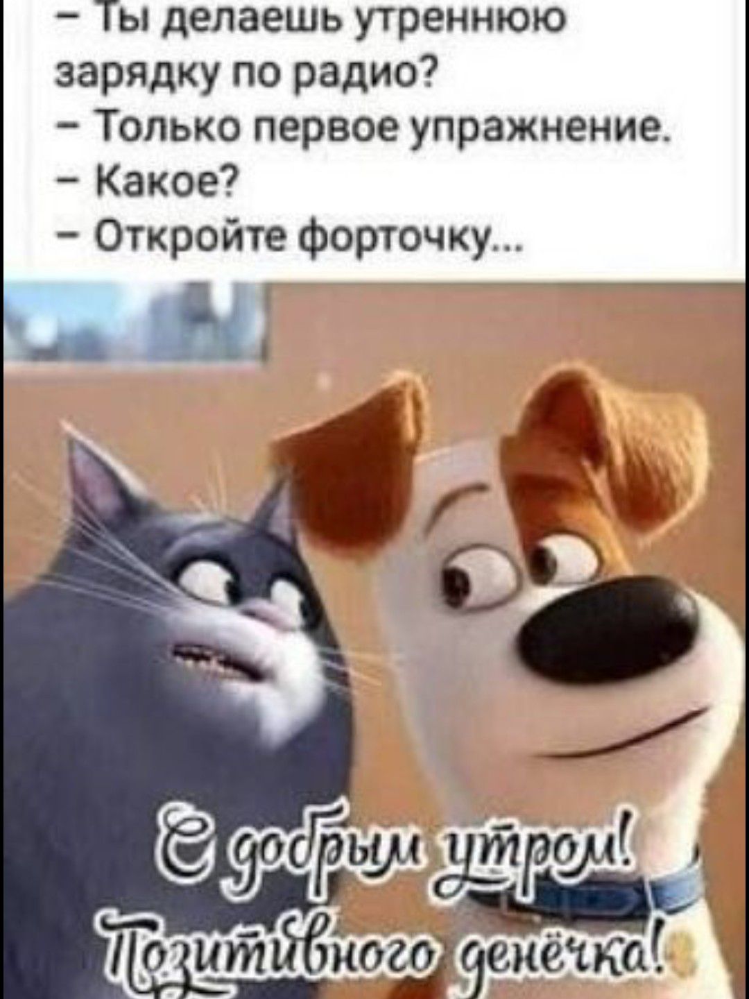 Ты делаешь утреннюю зарядку по радио Только первое упражнение Какое Откройте форточку тжиоиэеиеъм