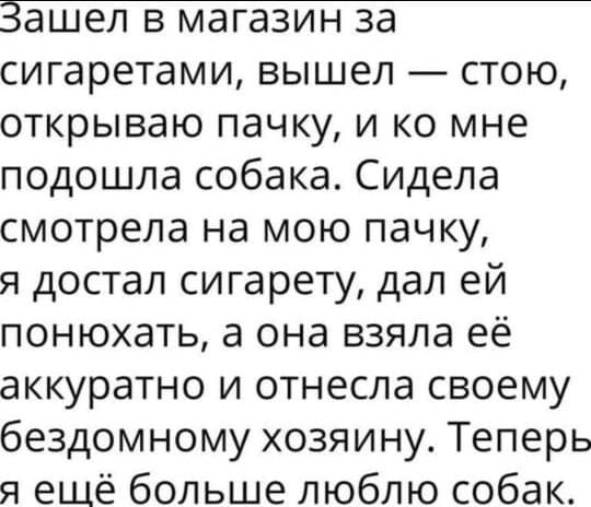 сигаретами вышел стою открываю пачку и ко мне подошла собака Сидела смотрела на мою пачку я достал сигарету дал ей понюхать а она взяла её аккуратно и отнесла своему бездомному хозяину Теперь я ещё больше люблю собак