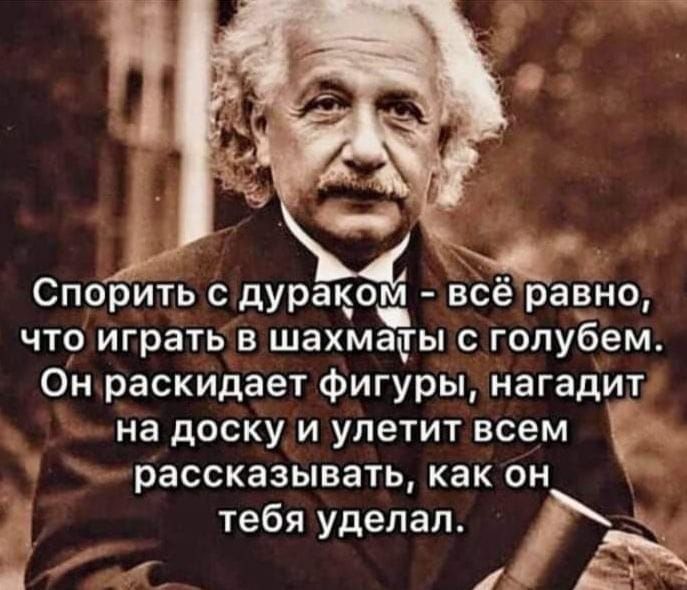 Спорить дуракои вЁерЪвнщ ЧТО играть В шахмады С голубем Он раскидает фигуры нагадит на доску и улетит всем рассказывать как он тебя удепап 1