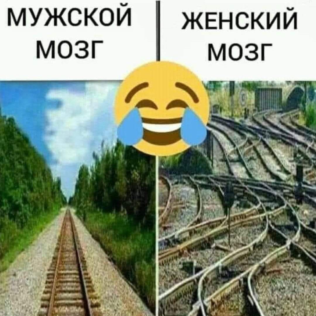 МУЖСКОЙ жвнский мозг мозг