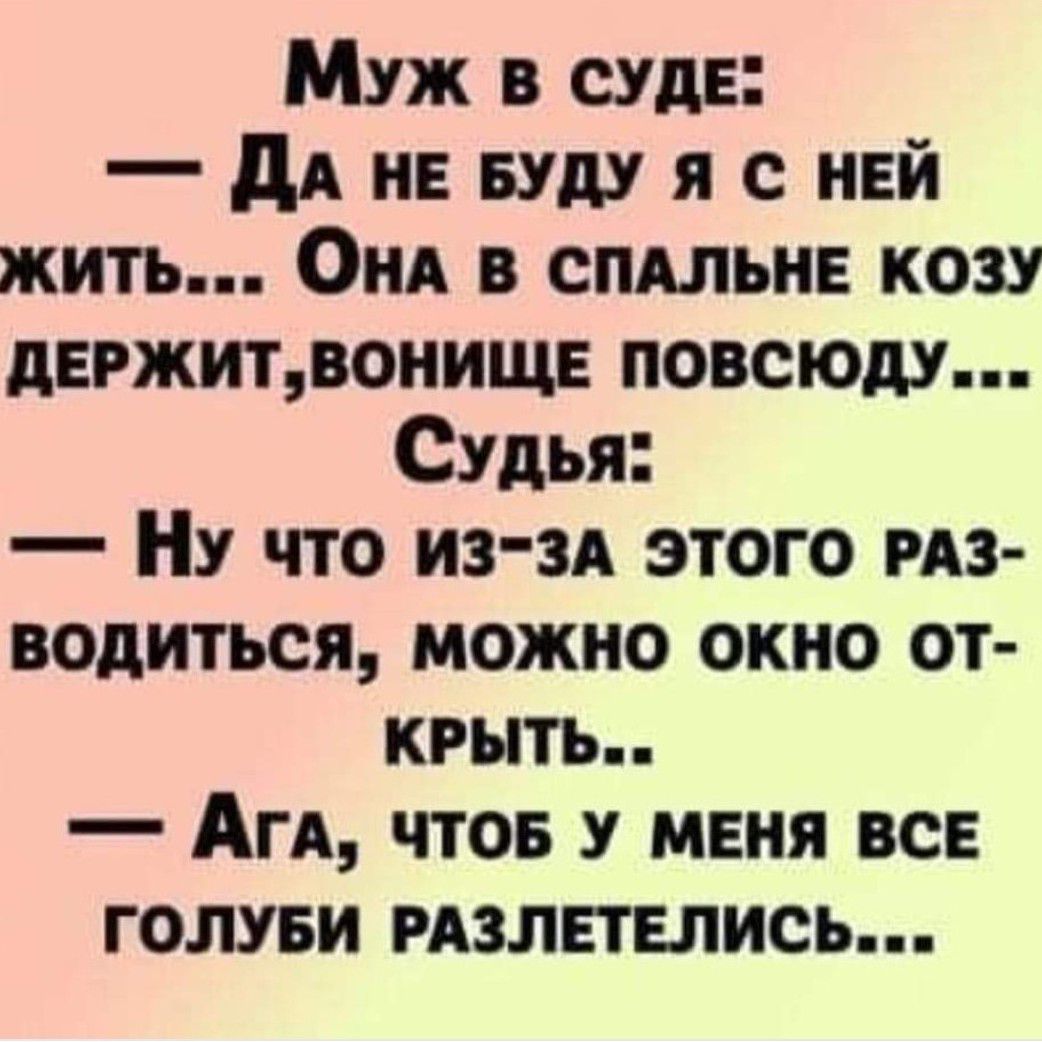 Муж в суде дА и иду я с ней жить Они в спдльив козу держитвонище повсюду Судья Ну что ИЗЗА этого из водиться можно окно от крыть АгА чтов у меня все голуви мзлвпшись