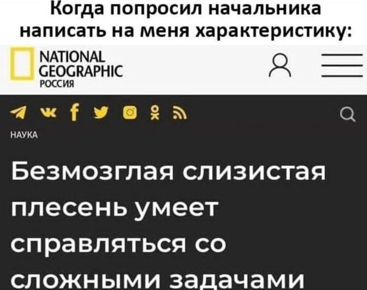огда ПОПРОСИЛ начальника написать на меня характеристику МАПОММ СЕОСКАРШС Я _ россия 57 я Безмозглая СЛИЗИСТЗЯ плесень умеет СПРЭВЛЯТЬСЯ СО СЛОЖНЫМИ задачами