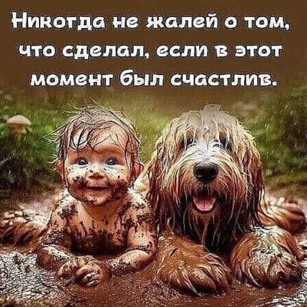 Никогда не жалей о том что сделал если в этот момент был счастлив