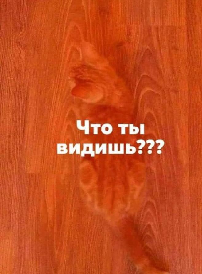 Что ты видишь