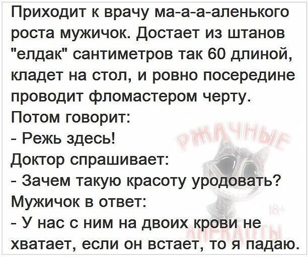 Приходит к врачу ма а аапенького роста мужичок достает из штанов елдак сантиметров так 60 длиной кладет на стол и ровно посередине проводит фломастером черту Потом говорит Режь здесь Доктор спрашивает Зачем такую красоту уродовать Мужичок в ответ У нас с ним на двоих крови не хватает если он встает то я падаю