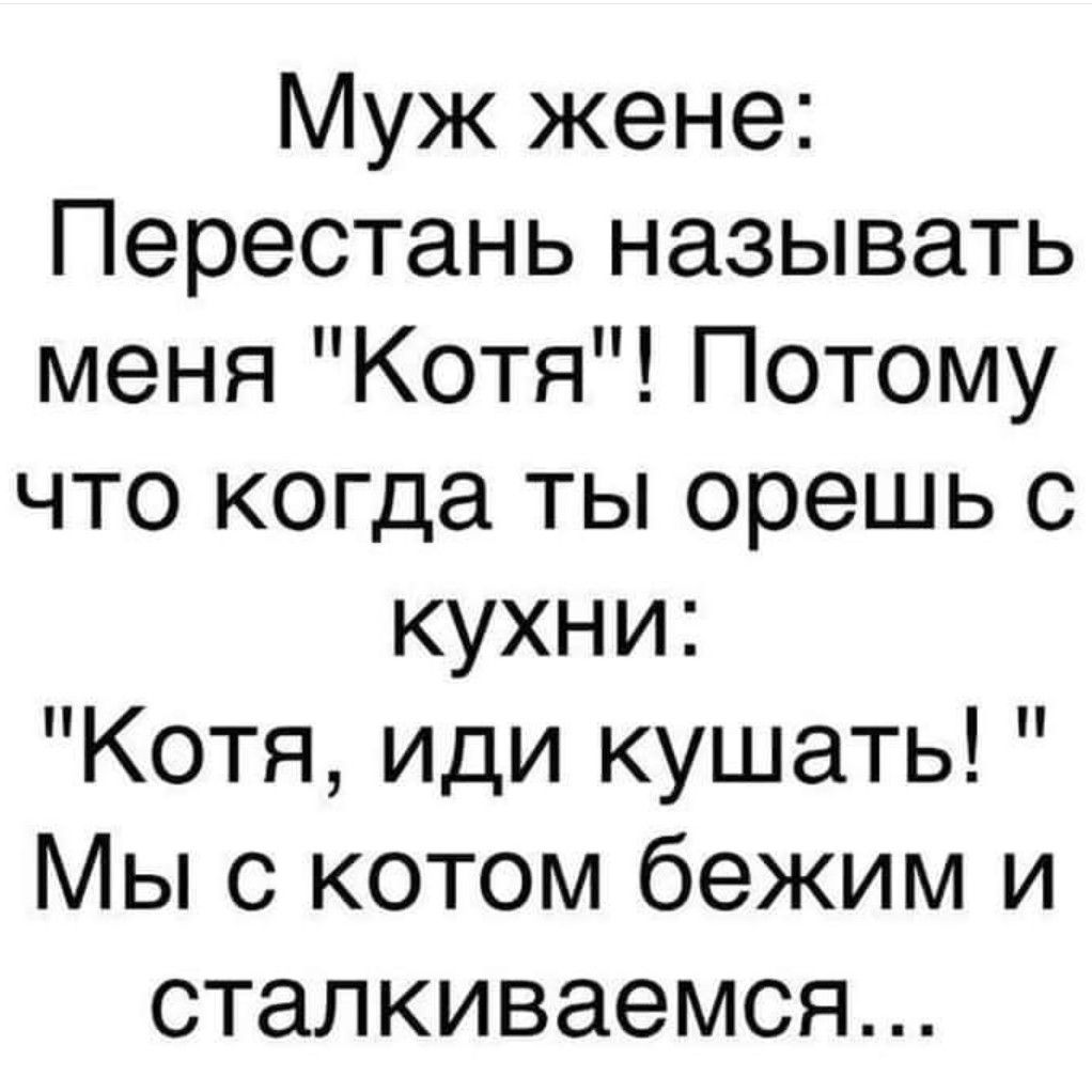 Муж жене Перестань называть меня Котя Потому что когда ты орешь с кухни Котя иди кушать Мы с котом бежим и сталкиваемся