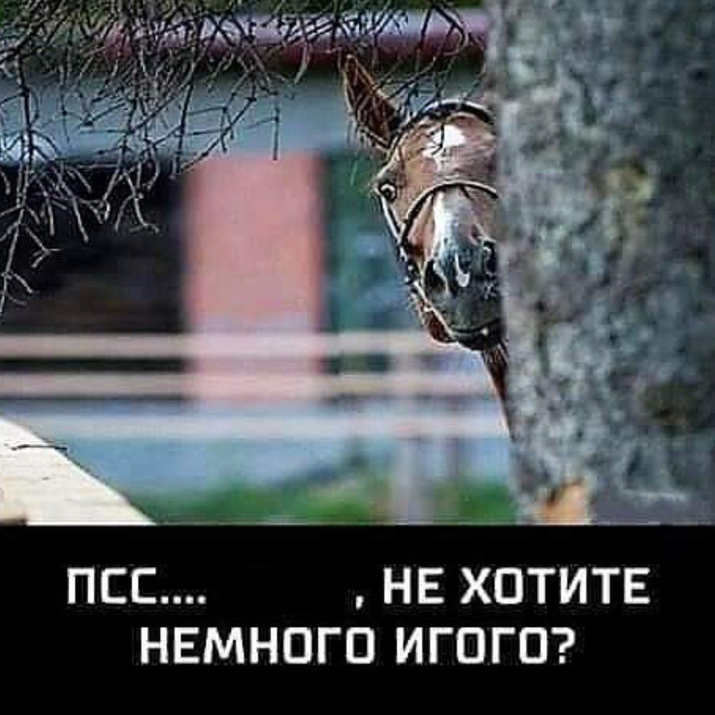 ППС НЕ ХОТИТЕ НЕМНОГО ИГОГО