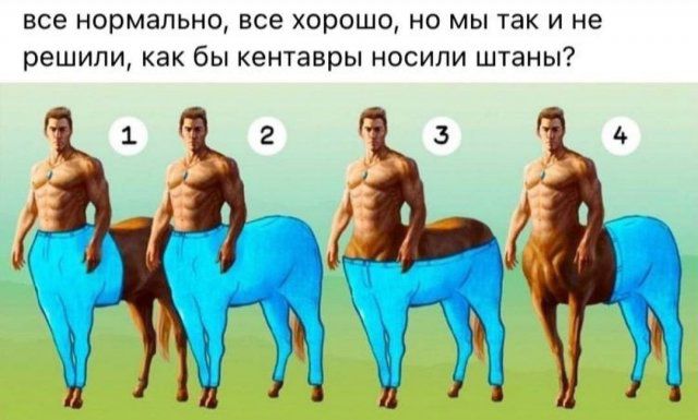 все нормальна все хорошо но мы так и не решили как бы кентавры носили штаны