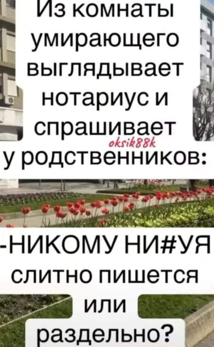 Из комнаты ні умирающего 1 выглядываетё _ч нотариус и _ спрашивает у родственников НИКОМУ НИУЯ слитно пишется Р или раздельно