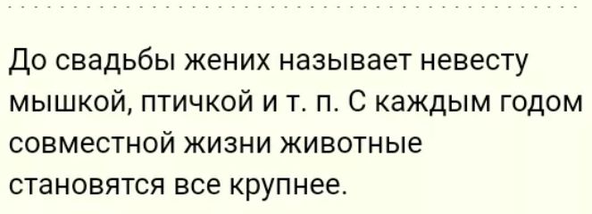 До свадьбы жених называет невесту мышкой птичкой и т п С каждым годом совместной жизни животные становятся все крупнее