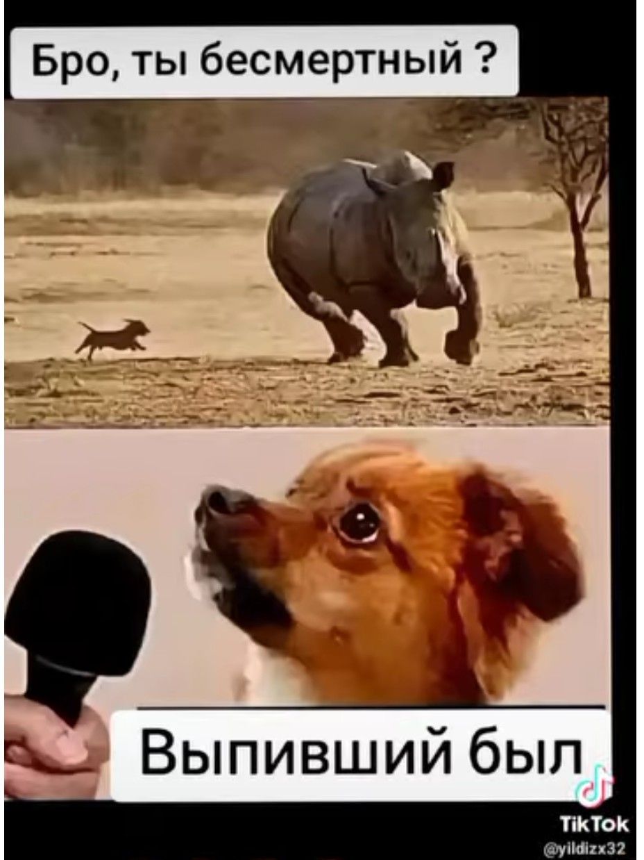 Бро ты бесмертный я _ Выпивший был