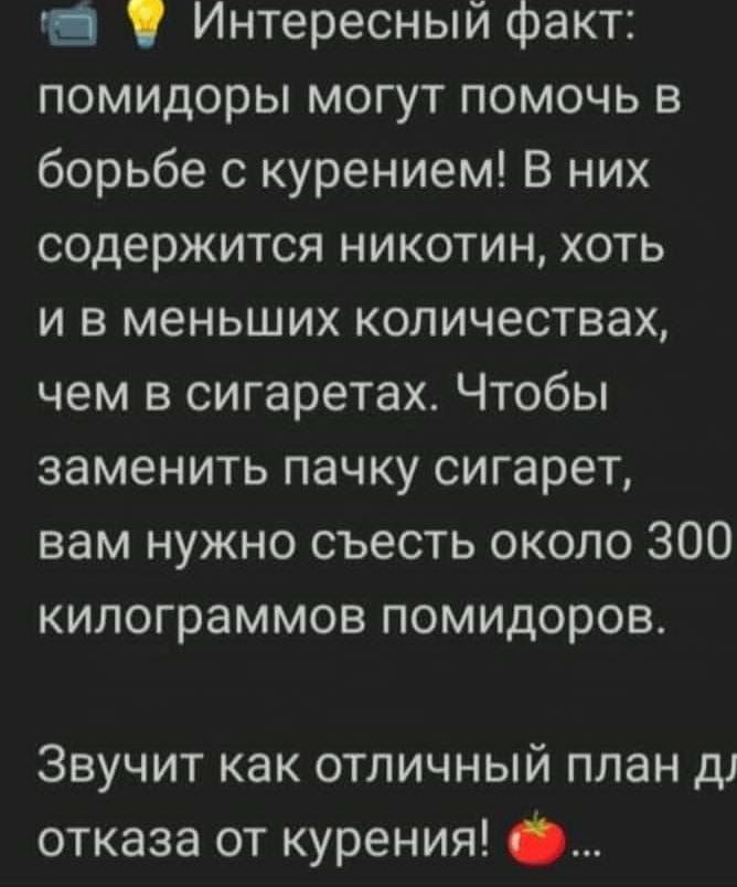 т Ж Интересный факт помидоры могут помочь в борьбе с курением В них содержится никотин хоть и в меньших количествах чем в сигаретах Чтобы заменить пачку сигарет вам нужно съесть около 300 килограммов помидоров Звучит как отличный план д отказа от курения