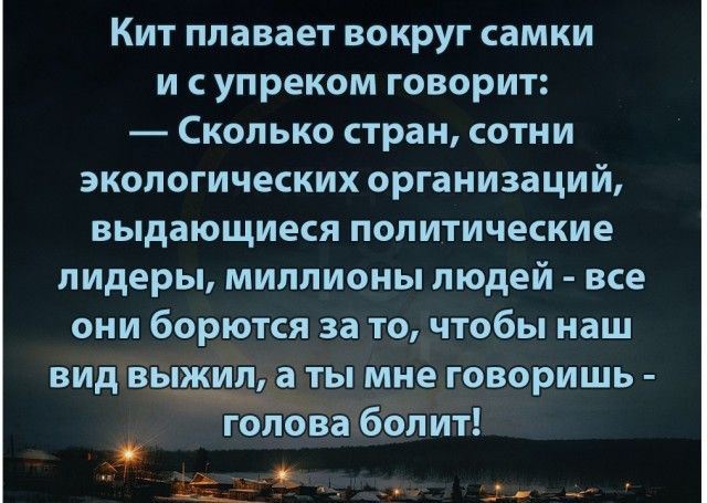 Кит плавает вокруг самки исупреком говорит Сколько стран сотни экологических организаций выдающиеся политические лидеры миллионы людей все они борются за то чтобы наш видвыжил аты мне говоришь голова болит