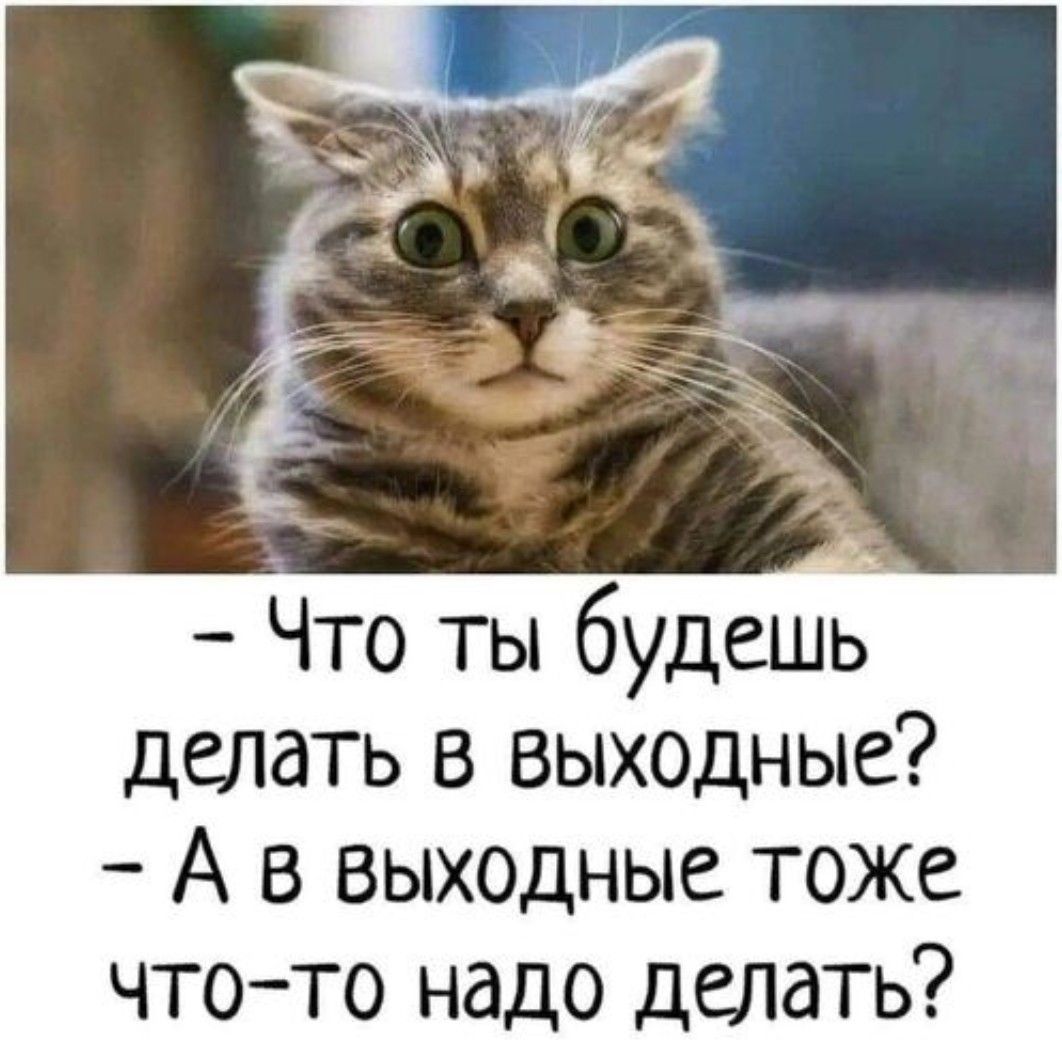 Что ты будешь делать в выходные А в выходные тоже что то надо делать