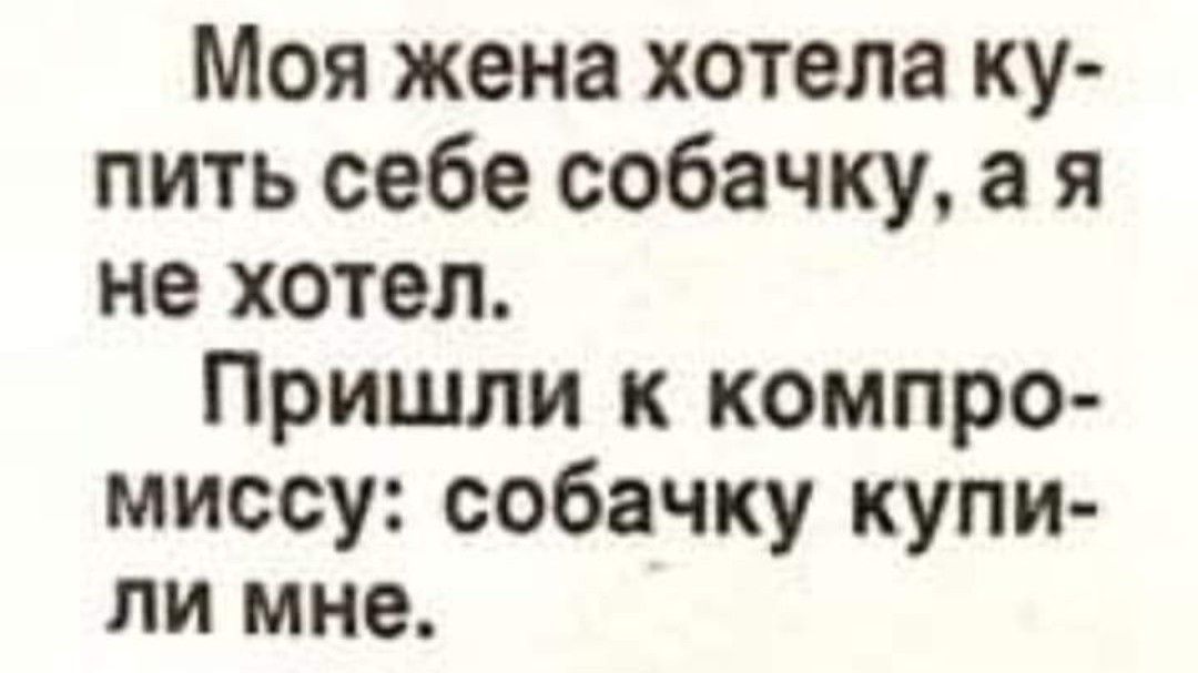 Моя жена хотела ку пить себе собачку а я не хотел Пришли к компро миссу собачку купи ли мне