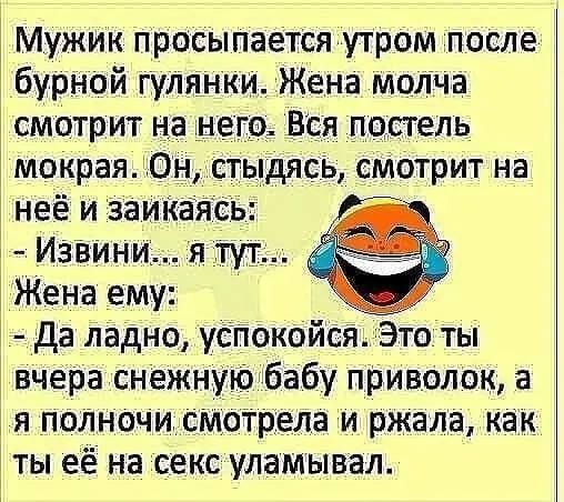 Мужик просыпается утром после бурной гулянки Жена молча смотрит на него Вся постель мокрая Он стыдясь смотрит на неё и заикаясь Г Извини я тут 8 Жена ему Да ладно успокоися Это ты вчера снежную бабу приволок а я полночи смотрела и ржала как ты её на секс уламывал