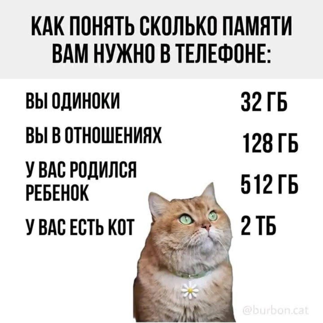 КАК ПОНЯТЬ СКОЛЬКО ПАМЯТИ ВАМ НУЖНО В ТЕЛЕФОНЕ ВЫ ОДИНОКИ 32 ГБ ВЫ В ОТНОШЕНИЯХ 128 ГБ УВАС РОДИЛСЯ РЕБЕНОК 512 ГБ УВАСЕСТЬ Кот М