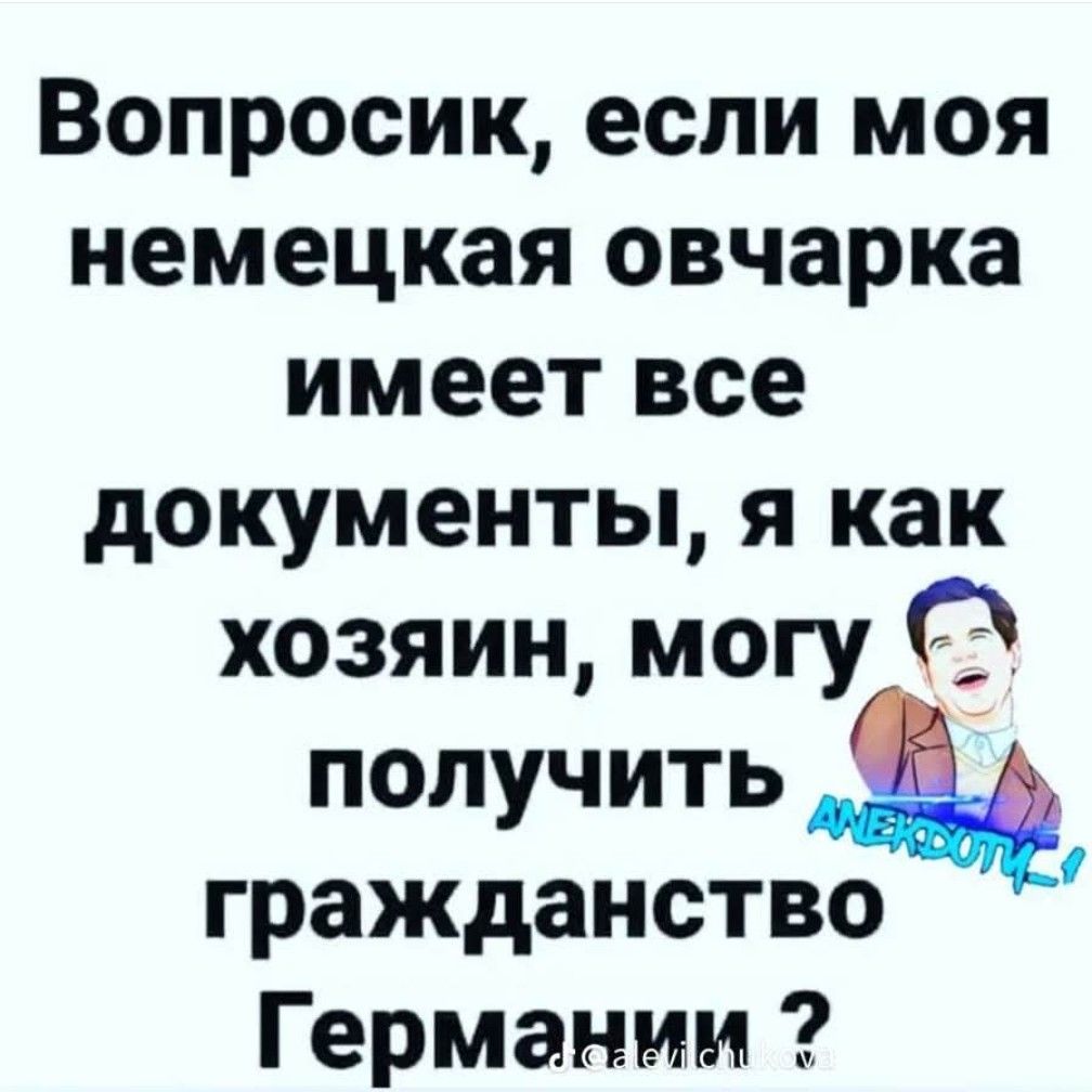 Вопросик если моя немецкая овчарка имеет все документы я как хозяин могу С получить гражданство Германии