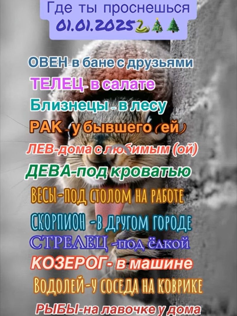 Ш_чЁкипзіт ы й кровадеюм ДАГОМ ГОРОДЕ