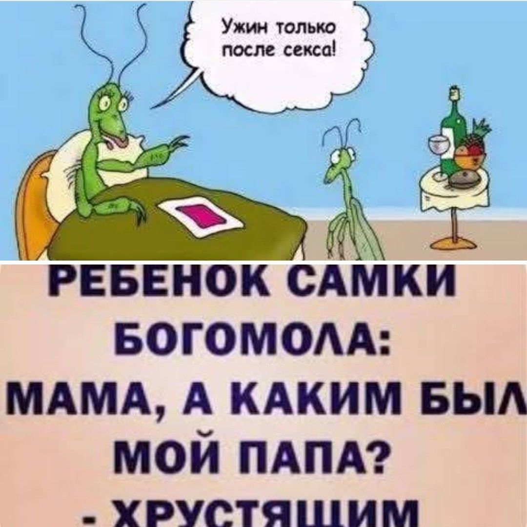 Ужи только после секса РЕБЕНОК САМКИ БОГОМОЛА МАМА А КАКИМ БЫЛ МОЙ ПАПА ХРУСТЯ И М К