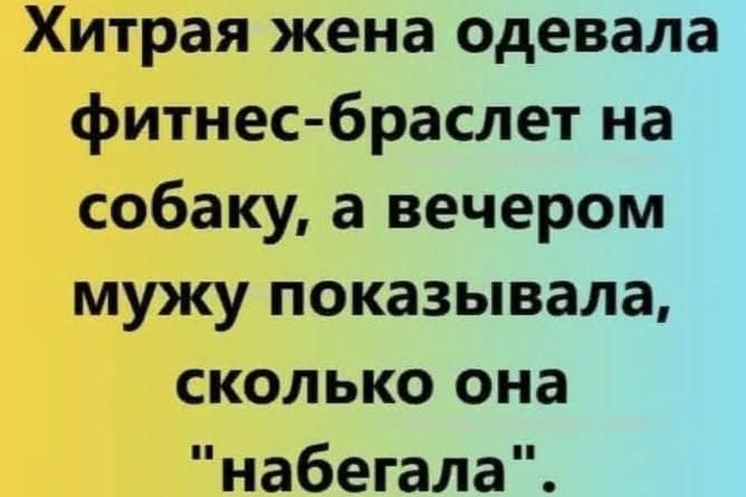 Хитрая жена одевала фитнес браслет на собаку а вечером мужу показывала сколько она набегала