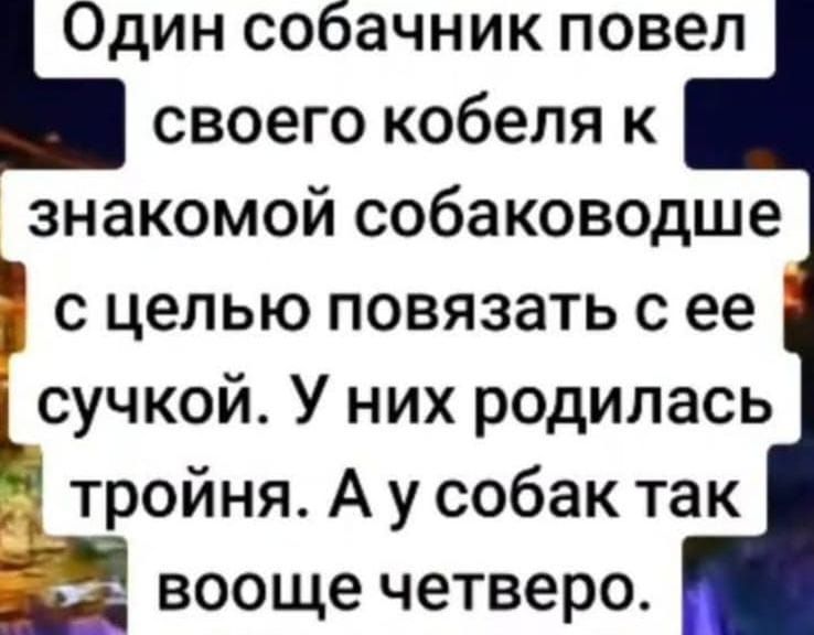 Один собачник повел ь своего кобеля к знакомой собаководше с целью повязать с ее ЬСУЧКОЙ У них родилась тройня А у собак так 2 вооще четверо