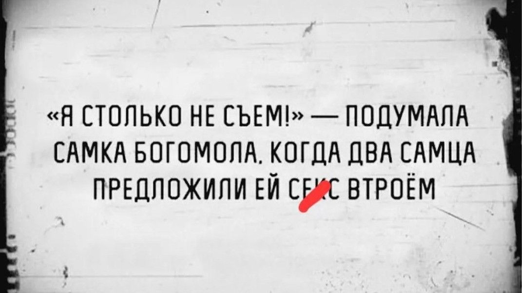 «я столько не съем!»  подумала самка богомола. Когда два самца предложили ей в7в втроём