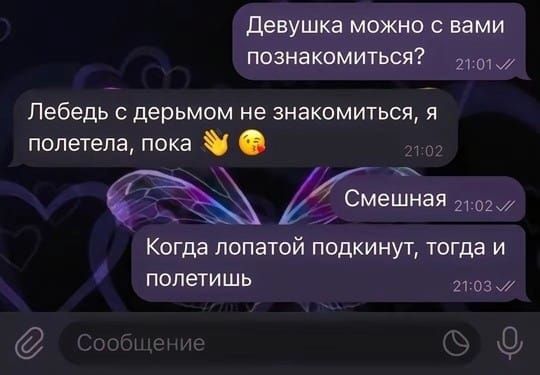 Девушка можно с вами познакомиться?
Лебедь с дерьмом не знакомиться, я полетела, пока
Смешная
Когда лопатой подкинут, тогда и полетишь