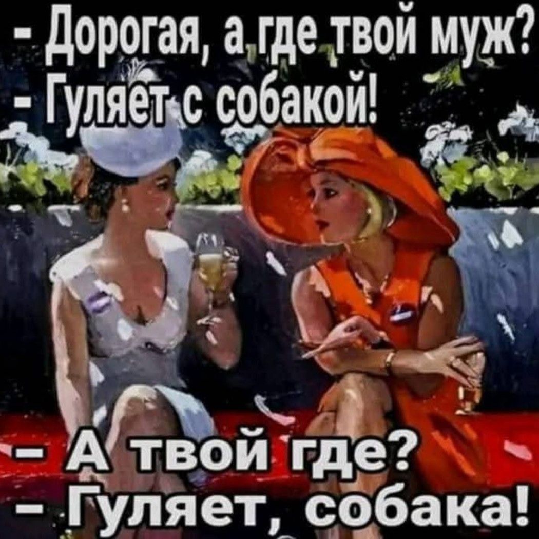 Дорогая, а где твой муж? - Гуляет с собакой! А твой где? - Гуляет, собака!