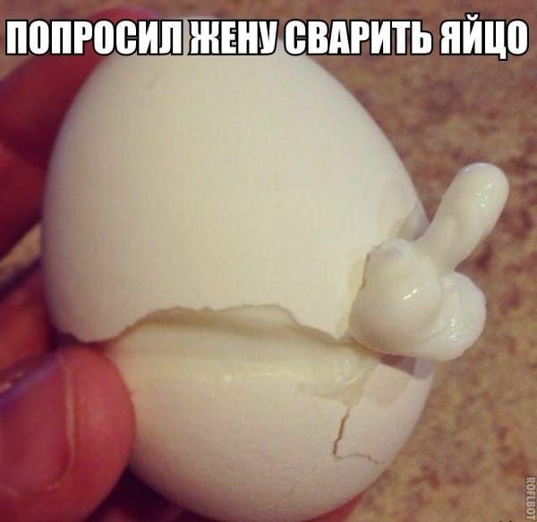 ПОПРОСИЛ ЖЕНУ СВАРИТЬ ЯЙЦО