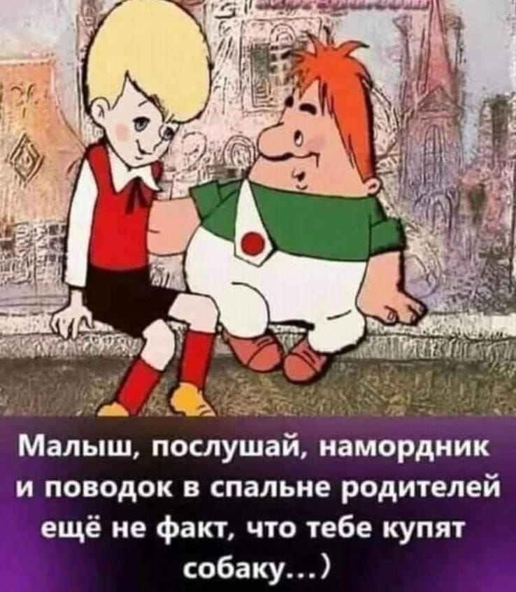 Малыш, послушай, намордник и поводок в спальне родителей ещё не факт, что тебе купят собаку...)