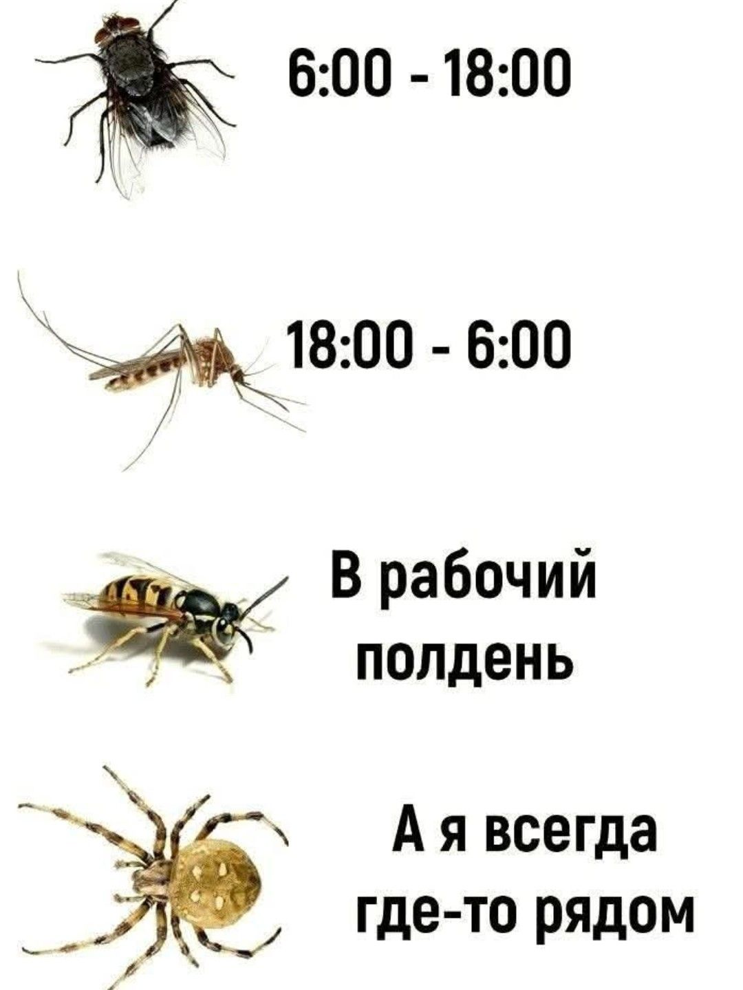 6:00 - 18:00
18:00 - 6:00
В рабочий полдень
А я всегда где-то рядом