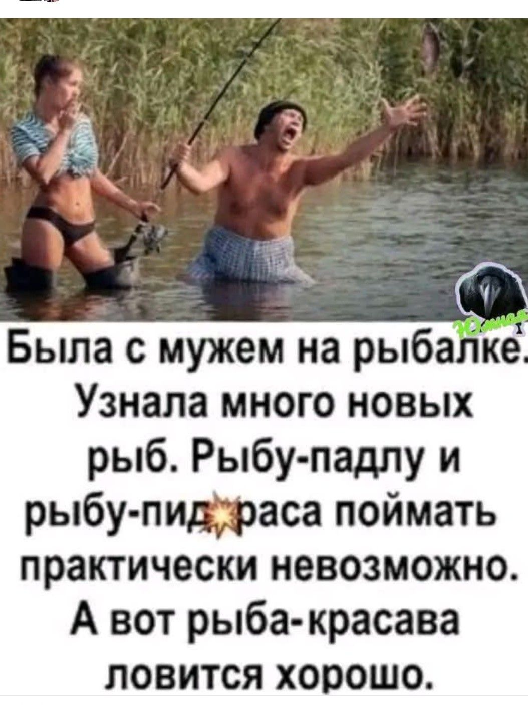Была с мужем на рыбалке. Узнала много новых рыб. Рыбу-падлу и рыбу-пидраса поймать практически невозможно. А вот рыба-красавица ловится хорошо.