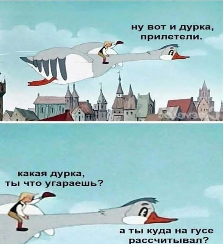 ну вот и дурка, прилетели.
какая дурка, ты что угораешь?
а ты куда на гусе рассчитывал?