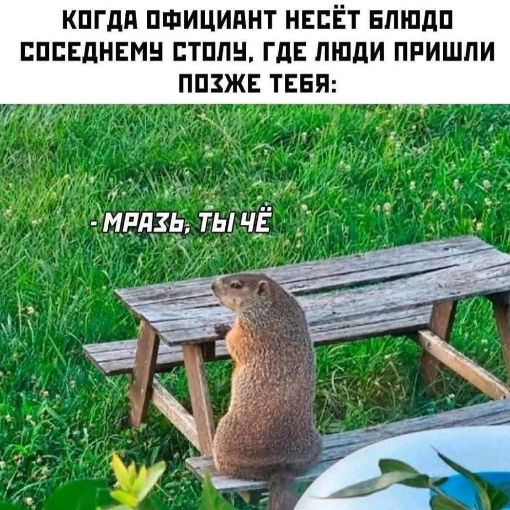 КАКДА ОФИЦИАНТ НЕСЁТ БЛЮДО СОСЕДНЕМУ СТОЛУ, ГДЕ ЛЮДИ ПРИШЛИ ПОЗЖЕ ТЕБЯ:
- МРАЗЬ, ТЫ ЧЁ