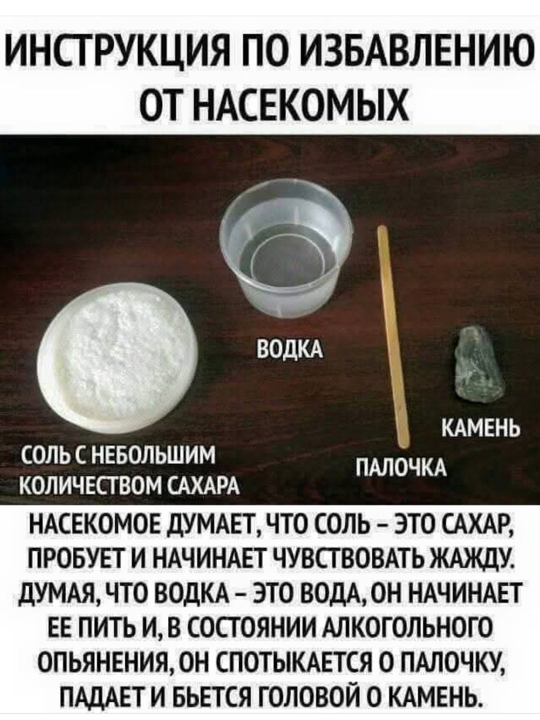 ИНСТРУКЦИЯ ПО ИЗБАВЛЕНИЮ ОТ НАСЕКОМЫХ

СОЛЬ С НЕМНОЖКОЙ КОЛИЧЕСТВОМ САХАРА

ВОДКА

ПАЛОЧКА

КАМЕНЬ

Насекомое думает, что соль — это сахар, пробует и начинает чувствовать жажду. Думая, что водка — это вода, он начинает ее пить и, в состоянии алкогольного опьянения, он спотыкается о палочку, падает и бьется головой о камень.