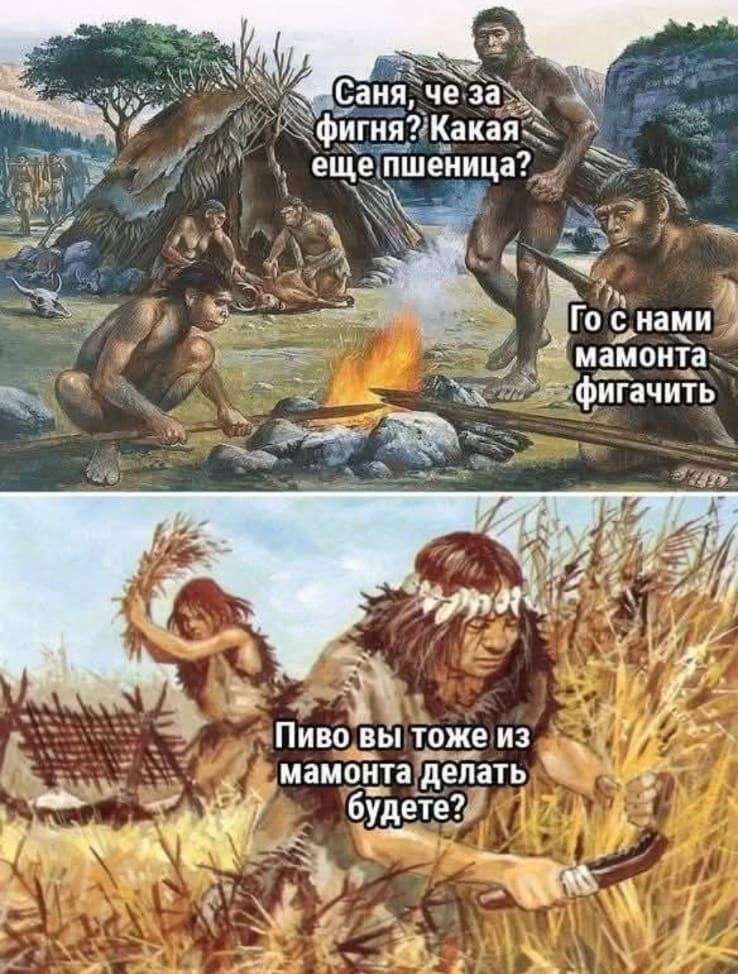 Саня, че за фигня? Какая еще пшеница? Го с нами мамонта фигачить. Пиво вы тоже из мамонта будете?