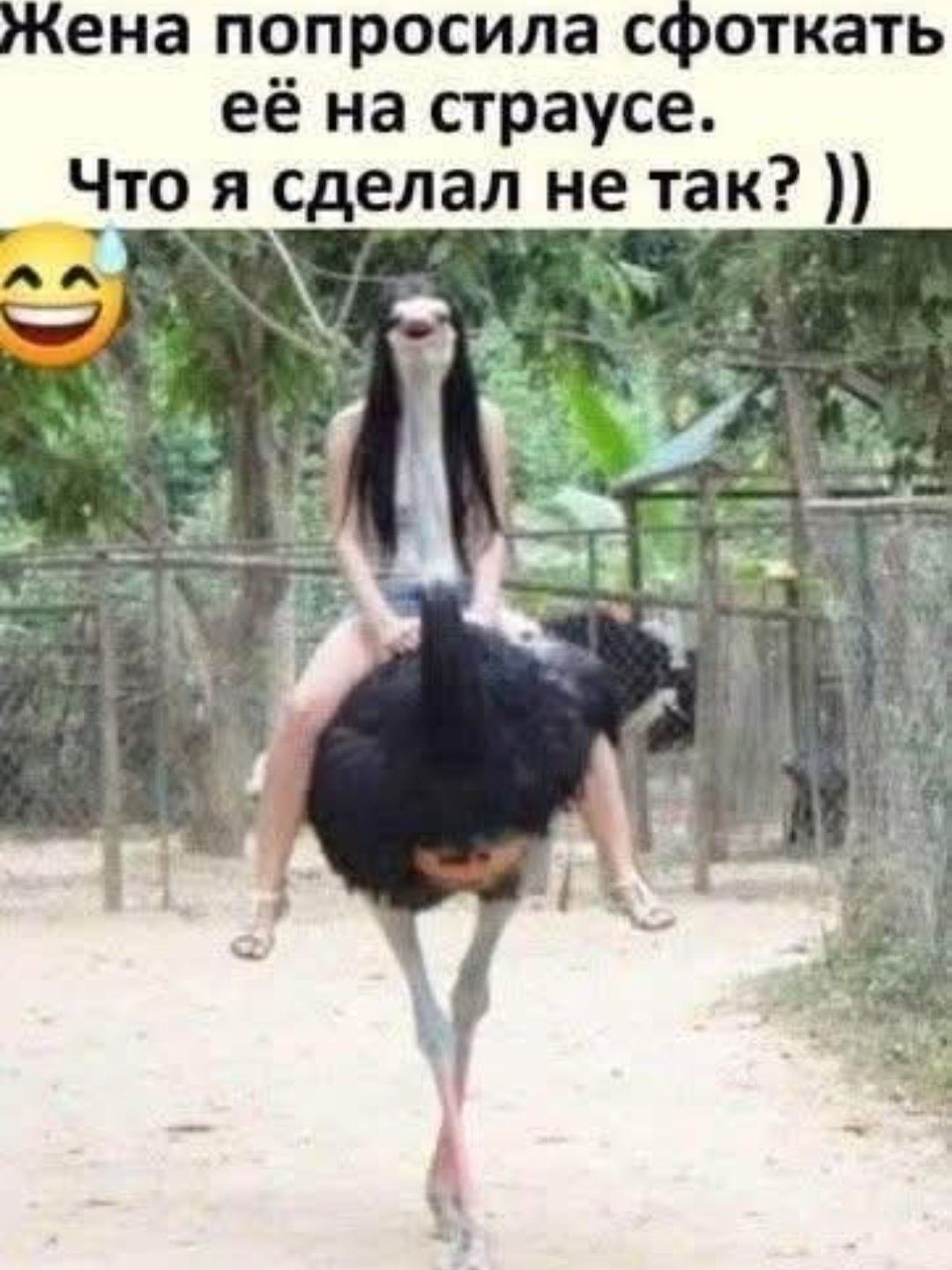 Жена попросила сфоткать её на страусе. Что я сделал не так? ))
