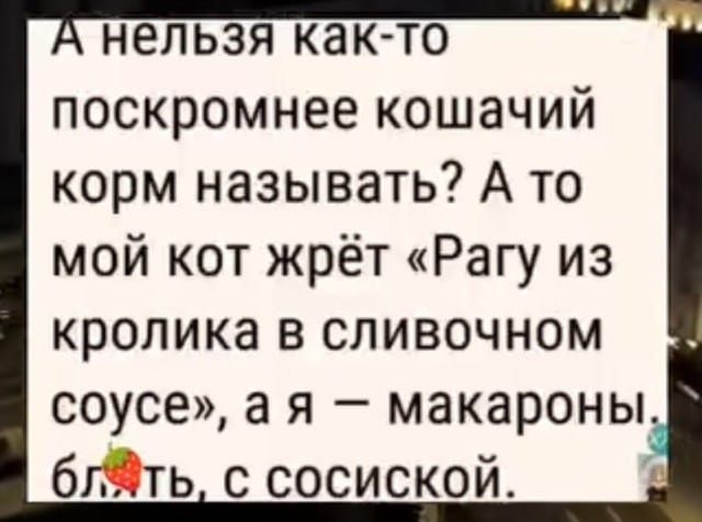 А нельзя как-то поскромнее кошачий корм называть? А то мой кот жрёт «Рагу из кролика в сливочном соусе», а я — макароны, блять, с сосиской.