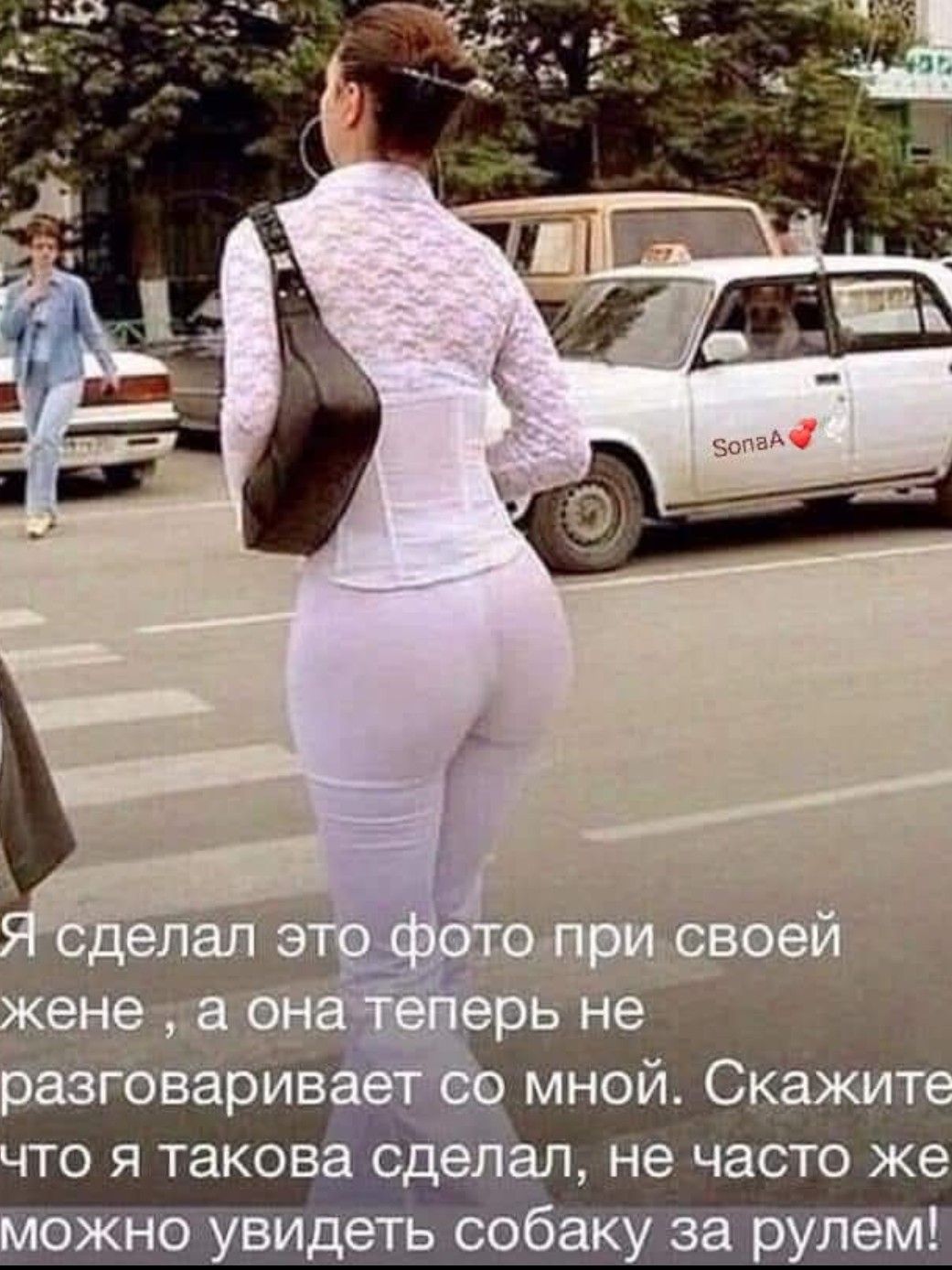 Я сделал это фото при своей жене, а она теперь не разговаривает со мной. Скажите, что я такава сделал, не часто же можно увидеть собаку за рулем!