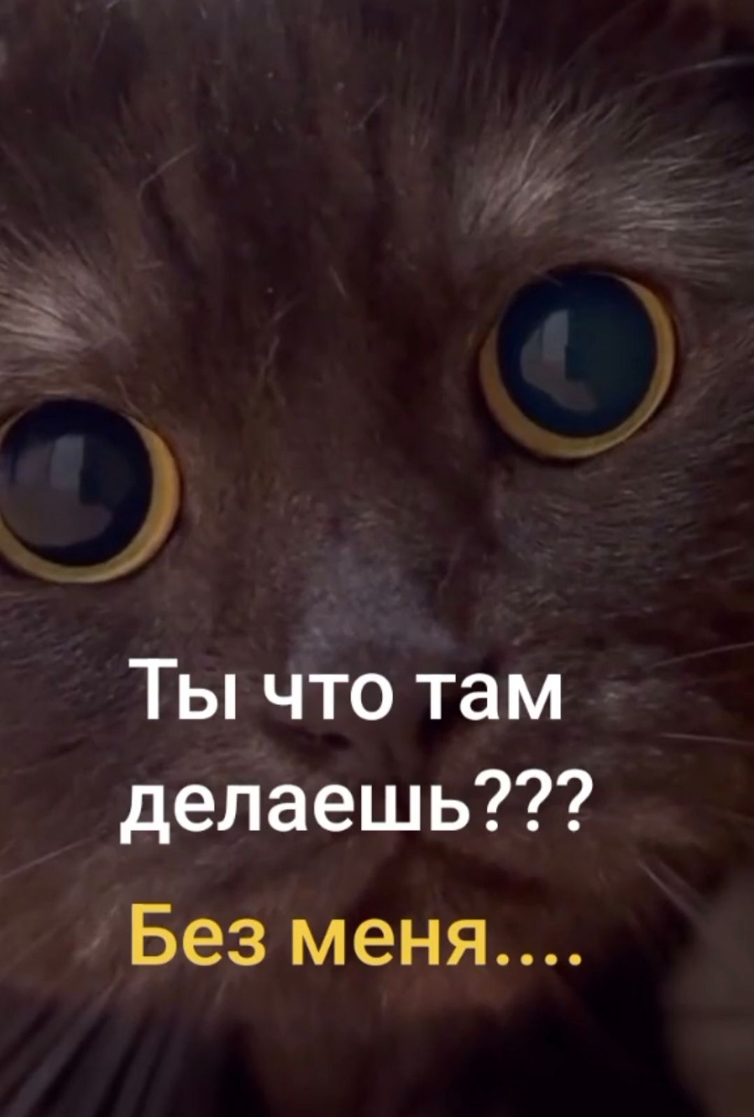 Ты что там делаешь???
Без меня....