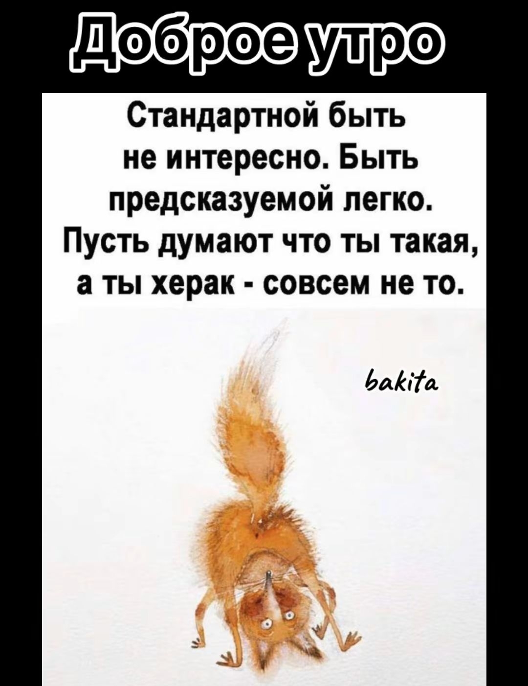 Доброе утро
Стандартной быть не интересно. Быть предсказуемой легко. Пусть думают, что ты такая, а ты херак - совсем не то.