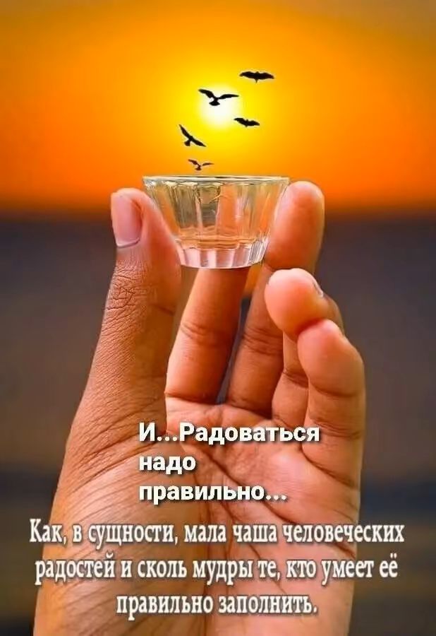 И... Радоваться надо правильно...
Как, в сущности, мала чаша человеческих радостей и сколько мудры те, кто умеет её правильно заполнить.